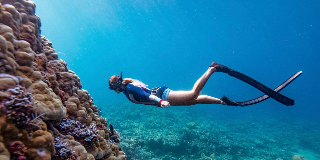 FREE DIVING WITH THE SWIM SET